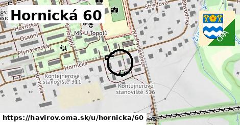 Hornická 60, Havířov