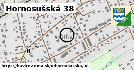 Hornosušská 38, Havířov