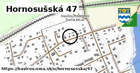 Hornosušská 47, Havířov