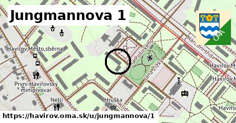 Jungmannova 1, Havířov