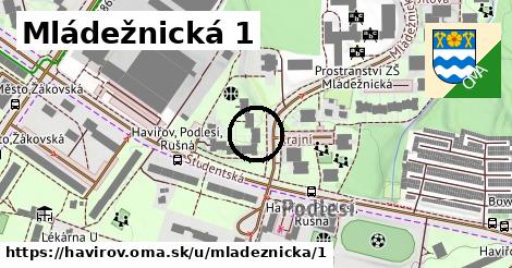 Mládežnická 1, Havířov