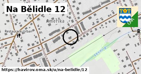 Na Bělidle 12, Havířov