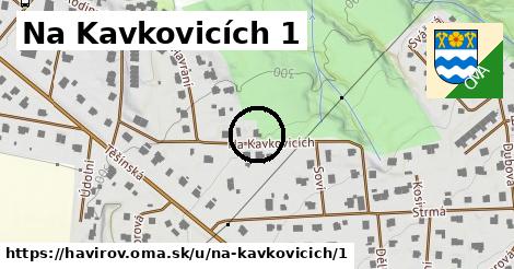 Na Kavkovicích 1, Havířov