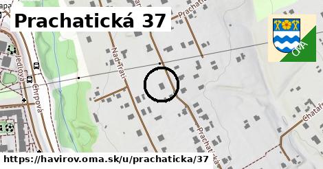Prachatická 37, Havířov