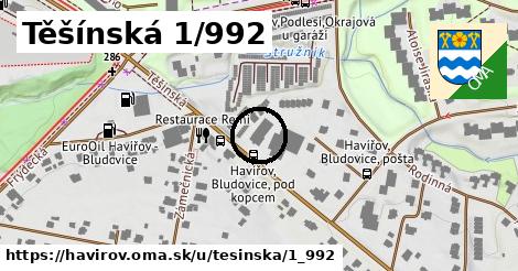 Těšínská 1/992, Havířov