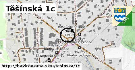 Těšínská 1c, Havířov