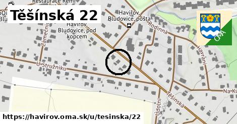 Těšínská 22, Havířov