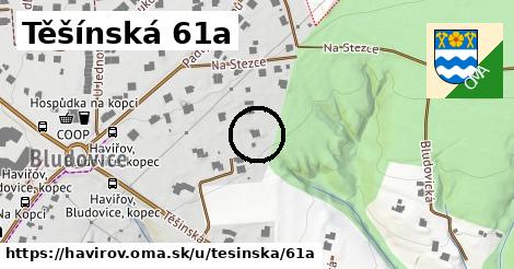 Těšínská 61a, Havířov