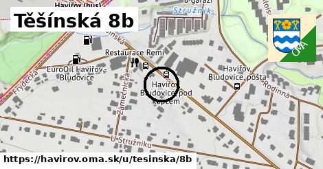 Těšínská 8b, Havířov