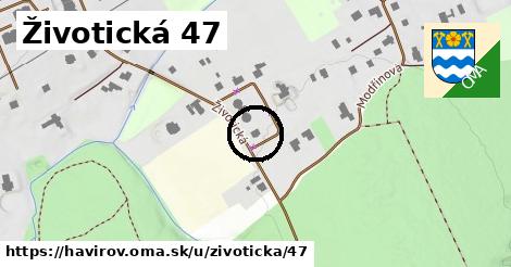 Životická 47, Havířov