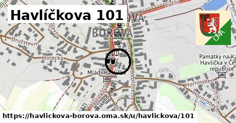 Havlíčkova 101, Havlíčkova Borová