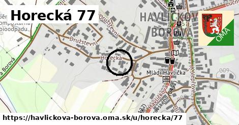 Horecká 77, Havlíčkova Borová