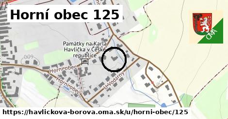 Horní obec 125, Havlíčkova Borová