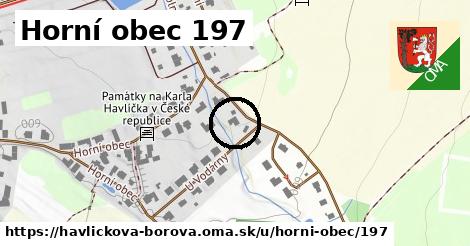 Horní obec 197, Havlíčkova Borová