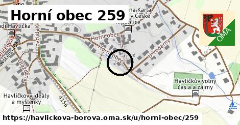 Horní obec 259, Havlíčkova Borová