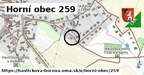 Horní obec 259, Havlíčkova Borová