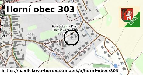 Horní obec 303, Havlíčkova Borová