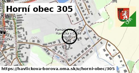 Horní obec 305, Havlíčkova Borová