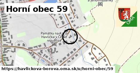 Horní obec 59, Havlíčkova Borová