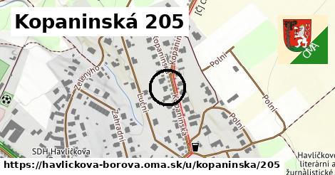 Kopaninská 205, Havlíčkova Borová