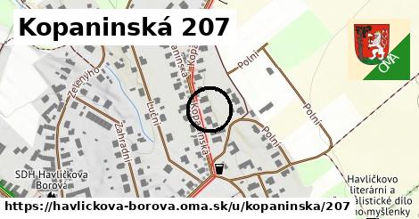 Kopaninská 207, Havlíčkova Borová