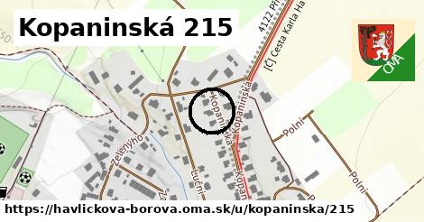 Kopaninská 215, Havlíčkova Borová