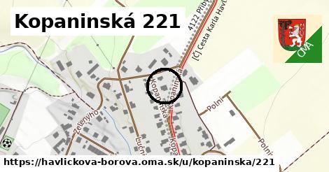 Kopaninská 221, Havlíčkova Borová