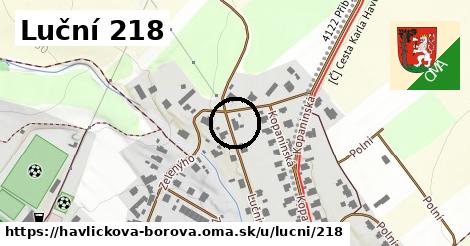 Luční 218, Havlíčkova Borová