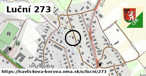 Luční 273, Havlíčkova Borová