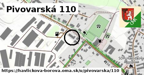 Pivovarská 110, Havlíčkova Borová