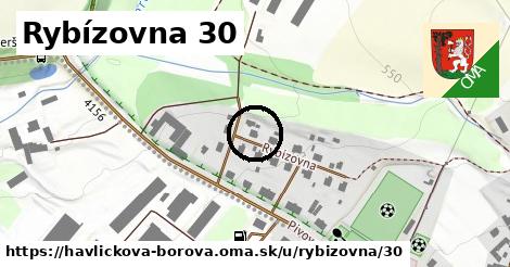 Rybízovna 30, Havlíčkova Borová