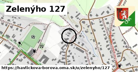 Zelenýho 127, Havlíčkova Borová