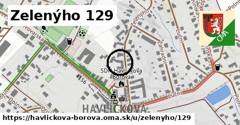 Zelenýho 129, Havlíčkova Borová
