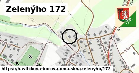 Zelenýho 172, Havlíčkova Borová