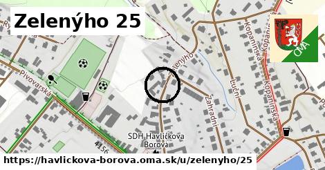 Zelenýho 25, Havlíčkova Borová