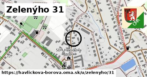 Zelenýho 31, Havlíčkova Borová