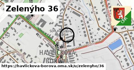 Zelenýho 36, Havlíčkova Borová
