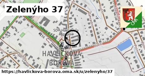 Zelenýho 37, Havlíčkova Borová