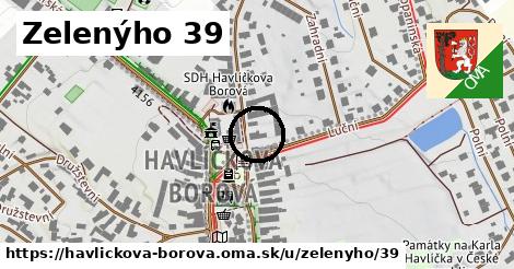 Zelenýho 39, Havlíčkova Borová