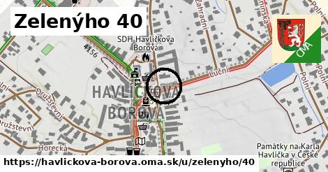 Zelenýho 40, Havlíčkova Borová