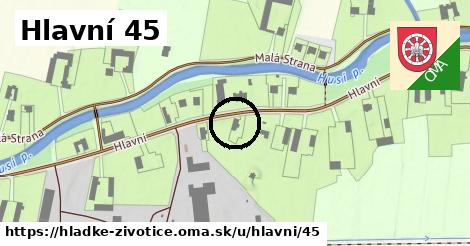 Hlavní 45, Hladké Životice