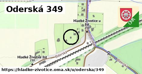 Oderská 349, Hladké Životice