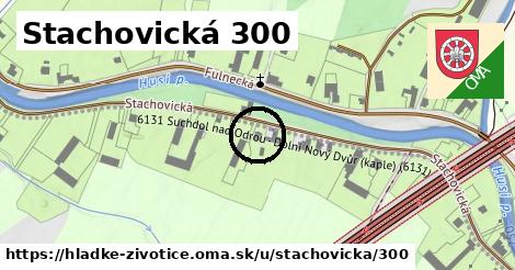 Stachovická 300, Hladké Životice