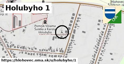 Holubyho 1, Hlohovec