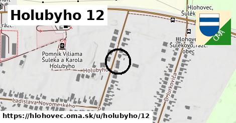 Holubyho 12, Hlohovec