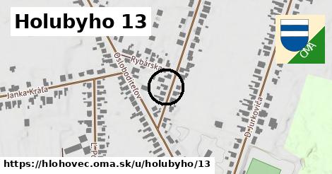 Holubyho 13, Hlohovec