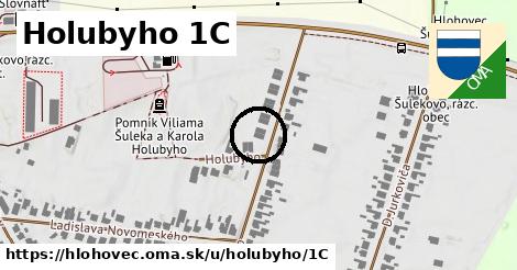 Holubyho 1C, Hlohovec