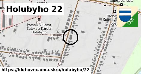 Holubyho 22, Hlohovec