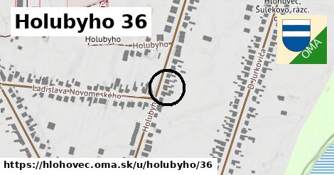 Holubyho 36, Hlohovec