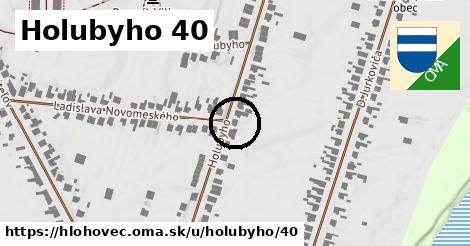 Holubyho 40, Hlohovec